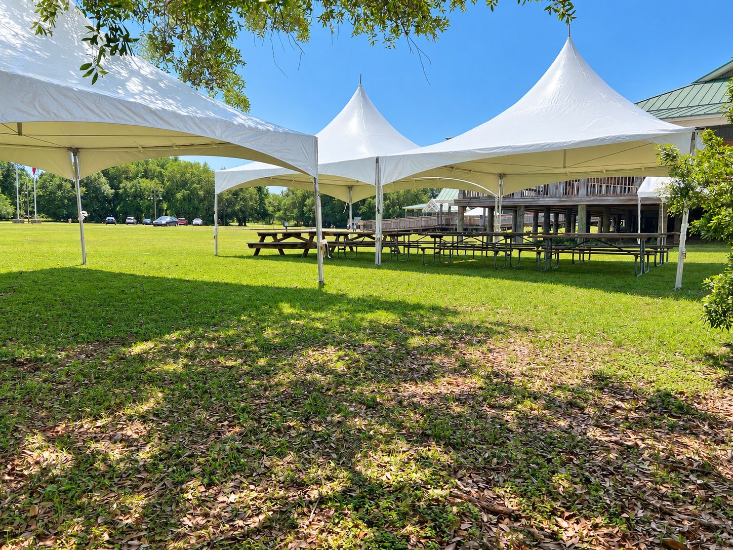 High-peak tents over picnic tables